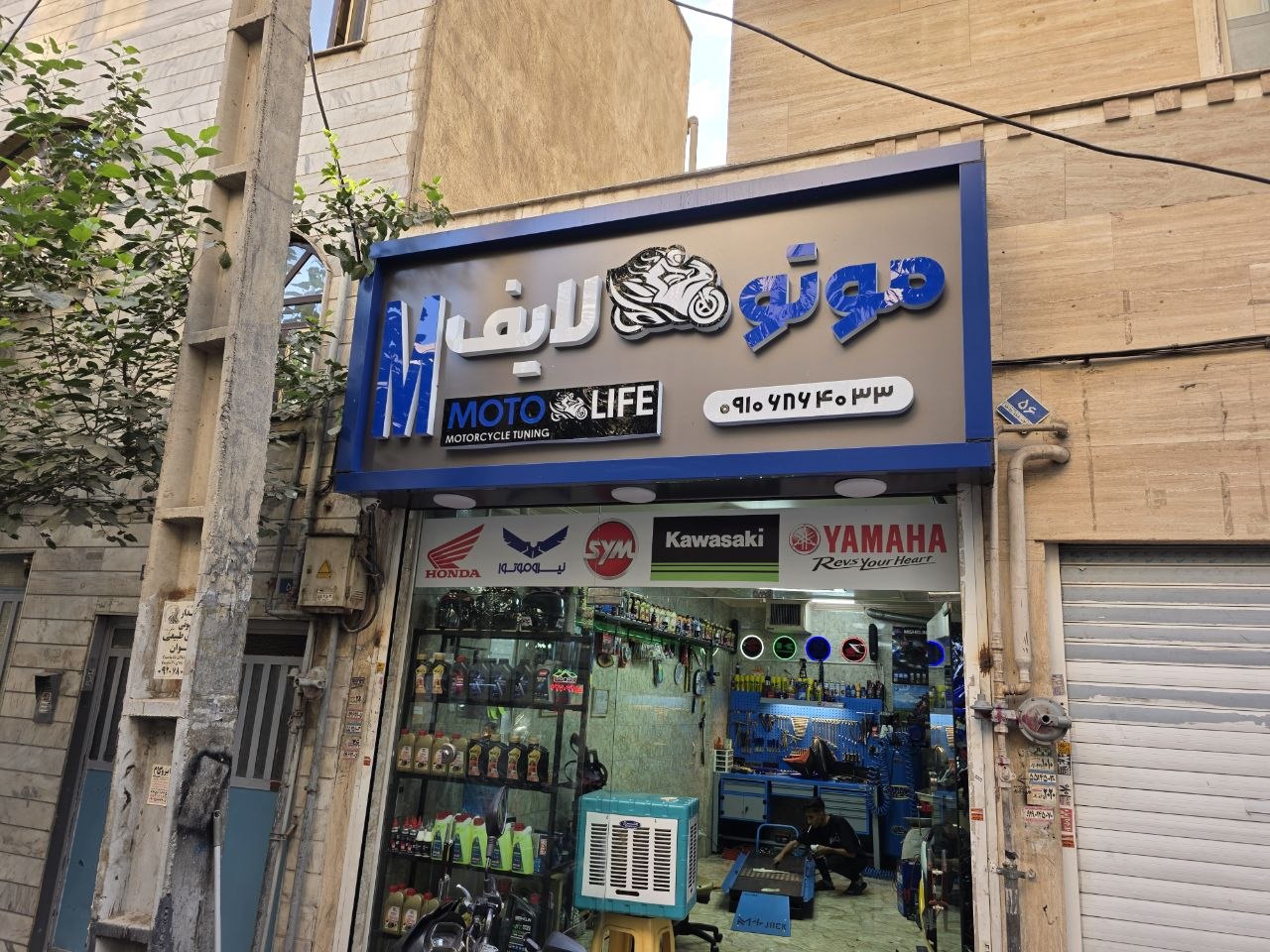 موتولایف